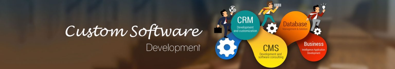 Customized software development banner